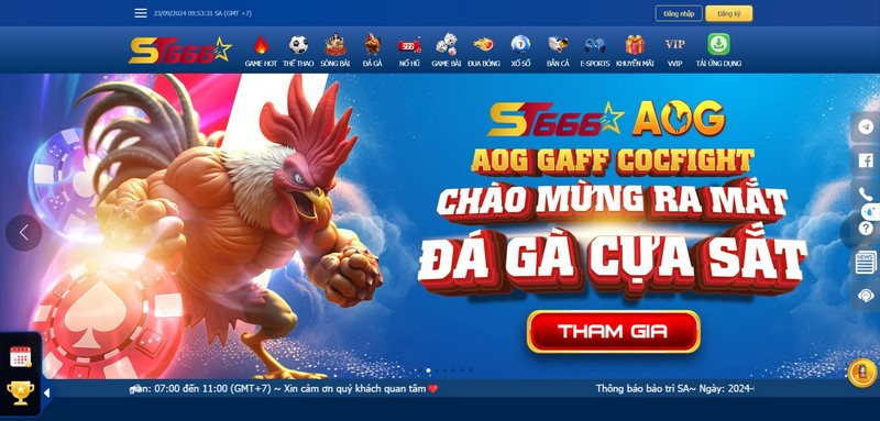 Đá Gà St666 - Mãn Nhãn Với Những Trận Chiến Chuyên Nghiệp