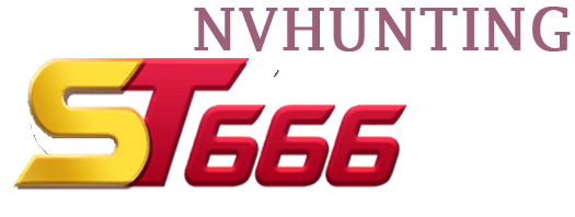 ST666